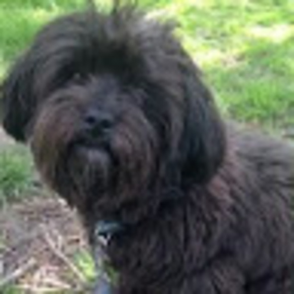 Meet your Posher, Sarah - Picture 1 of 1